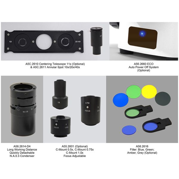 Large Diameter Quintuple Trinocular Inverted Microscope 6V 30W Koehler Illumination