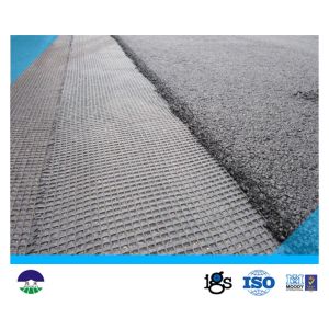 Quality Warp Knitting Polyester Geogrid 80KNM with High Tensile Strength for sale