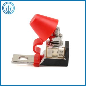 Littelfuse 58VDC Marine Rated Battery Fuses 50A - 300A