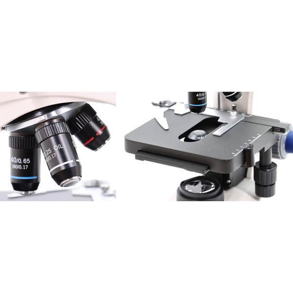 OPTO EDU A12.1005 Achromatic LED Trinocular Biological Laboratory Microscope
