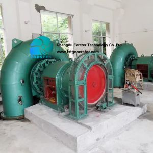Automatic Control Micro Hydro Turbine Generator Brushless Excitation Type