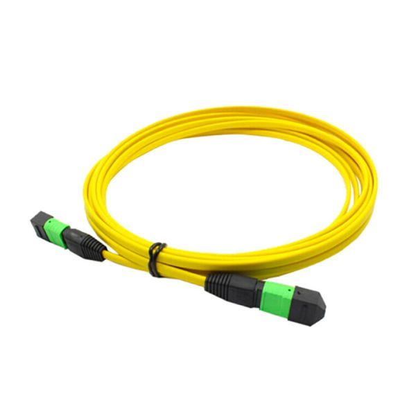 Buy Singlemode / Multimode MTP Patch Cord Low Back Reflection Loss Good Durability at wholesale prices