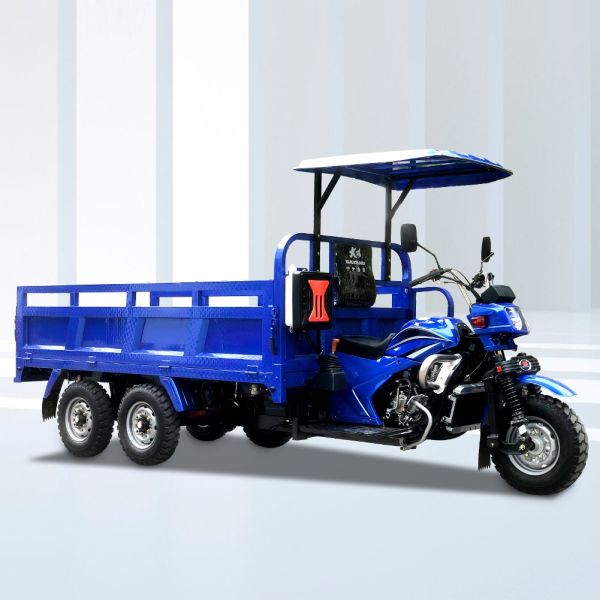 5.00-12/5.00-12 Tyre DAYANG 300cc Double Rear Axle Motorized Tricycle for Heavy Loads