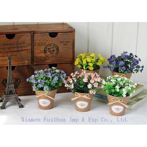 Buy cheap High Quality Potted Plants from wholesalers