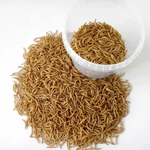 Quality Protein-Packed Worm Meal with 57% Protein and 25% Fat for Animal Feed for sale