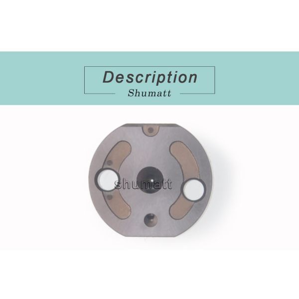 Genuine CR Shumatt Injector Valve plate 295040-6690 for diesel fuel engine