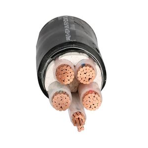 16mm2 25mm2 35mm2 95mm2 Single Muti Core Armoured PVC XLPE Insulation Electric