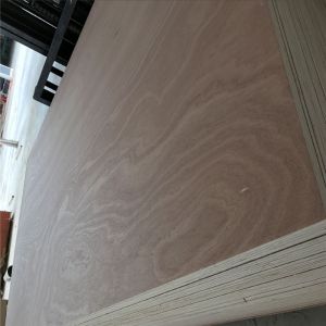 1220*2440mm Sapele Faced Plywood