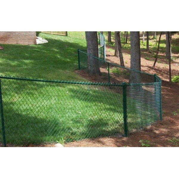Green backyard chain link fence and wood fence.