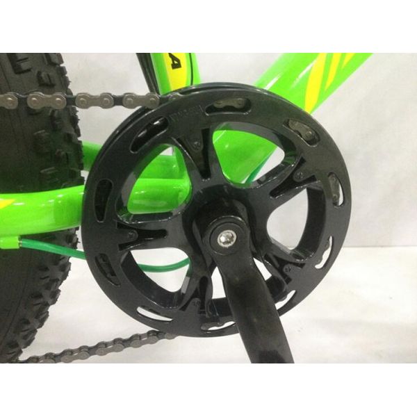 OEM 21 Speed 20 Inch Fat Tire Electric Bike