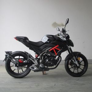 TR250-U3 CDI Ignition 250CC Naked Sport Motorcycle