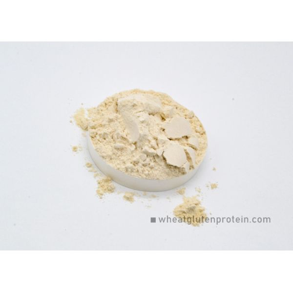 Buy Dried Wheat Gluten Powder, Physical Extraction Natural Protein at wholesale prices