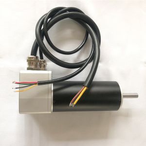 Micro 24v BLDC Brushless Dc Motor Customized For Mini Fan Motor