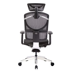 Double Back Ergo Mesh Back Office Chair Ergonomic Executive Swivel