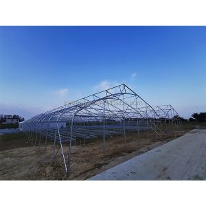 200micron Single Span Greenhouse Agricultural Tropical Climate Greenhouse