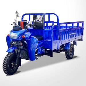 300cc Petrol Gasoline Motorized Cargo Tricycles 3wheels Motorcycle Customized 5