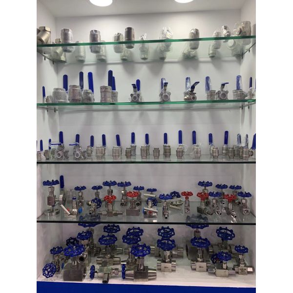 Casting Customized Support OBM 2inch Sanitary Pipe Clamp and Gasket for Tri Clamp Fittings in Stainless Steel 304/316