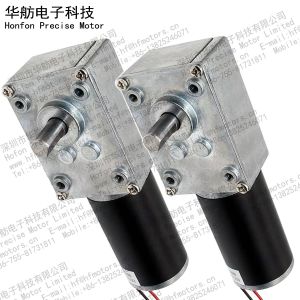 12V 24V 14RPM 2000mA 40mm DC Worm Gear Motor GM4058-3162ZY