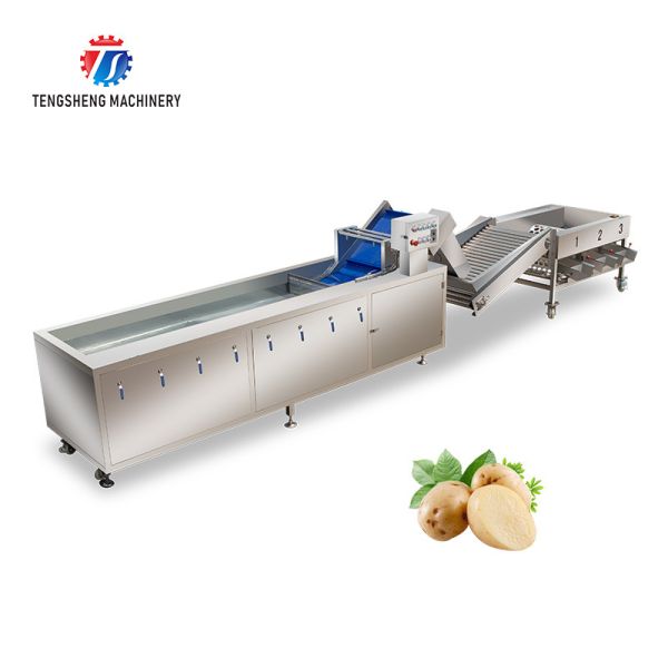 Buy Multifunction Fruit And Vegetable Processing Line Automatic Washing And Sorting Machine at wholesale prices