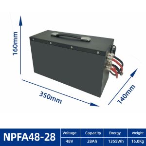 OEM ODM EV Lithium Battery Pack For AGV 24V 48V 60V 72V 80V Lifepo4 With Smart