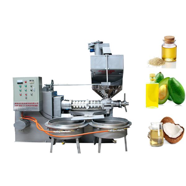Buy Cold Press Oil Extraction Machine Sesame Oil Pressers 160kg/H at wholesale prices
