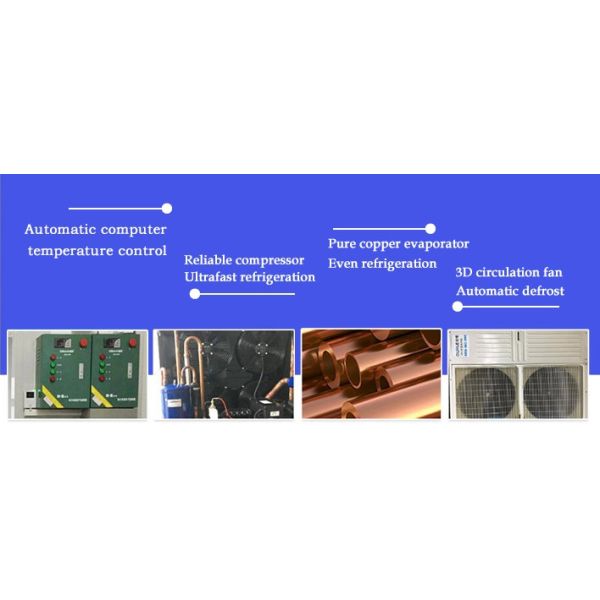 -50~0°C Cold Storage Room For Beef Meat Chicken Frozen