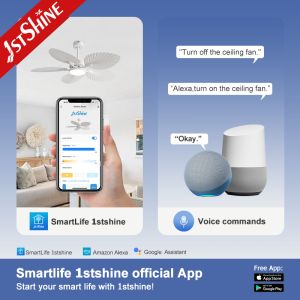 52” Decorative Tropical Ceiling Fan With Light ABS balde quiet dc motor