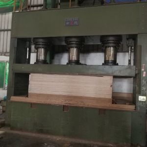 Fancy Bicolor Tulip Plywood Based MDF / Chipboard / Particle Board For Furniture