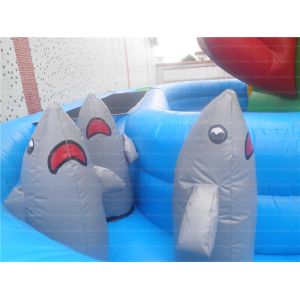 Unique Inflatable Slide (CYSL-39)