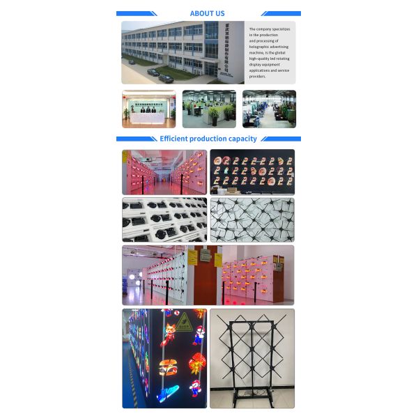 OEM 2024 60cm 4 Blades 3D Hologram Display Fan for High Brightness Holographic Display