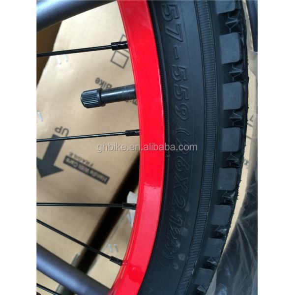 City Bicycle Gloss Weight 19kg Steel Fork Beach Cruiser Bike for Urban Riding