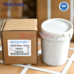 7185-627L Dp200 Diesel Fuel Injection Pump Head Rotor 7185-627L with Rotor 326L