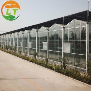 8m Transparent Glass Solar Greenhouse For Efficiently Produce Tomatoes