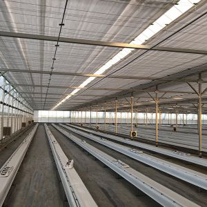 Automatical Controlling System Galvanized Steel Frame Film Greenhouse for