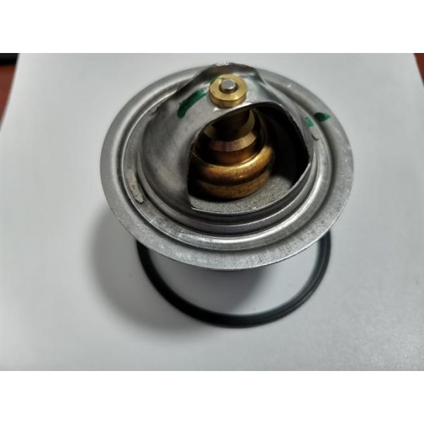 TAD851VE Engine 924548.0200  Penta Thermostat 0