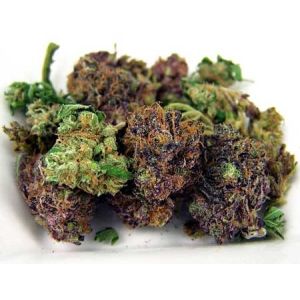 2035umol/S UV LED Grow Lights