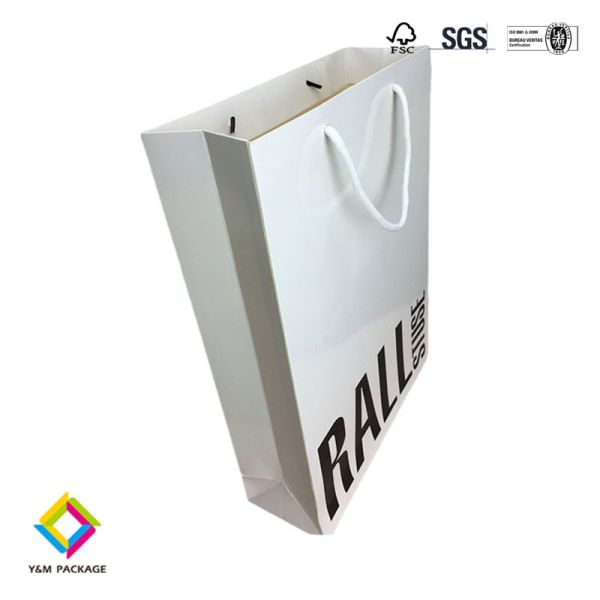 Luxury Shoes Clothes Printed Custom Logo Clothing Shopping Gift Jewelry Packaging Paper Bag