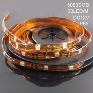 SMD5050 30LEDs/m strip