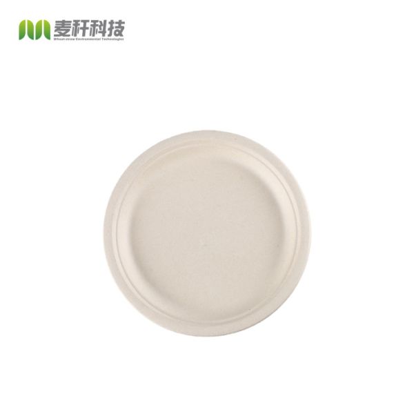 Biodegradable Sugarcane Bagasse Bio Paper Plate Pulp Fiber Round Disposable