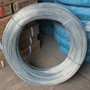 Fencing 11# 2.9mm 11 Gauge Galvanized Wire Coil