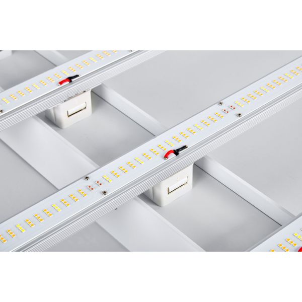 Vegetable Seedling Hydroponics LED Grow Lights SMD 800w 2.8μmol/J