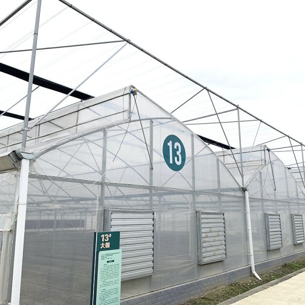 Steel Tructure Sawtooth Poly Film Low Tunnel Agricultural Multi-span Greenhouse for Sustainable Vegetable Production