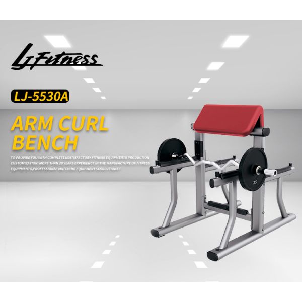 Small Gym Rack And Bench Home Workout Fitness Biceps Arm Curl Equipment