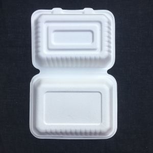 Rectangle Biodegradable 600ml Disposable Bento Lunch Box Sugarcane Pulp