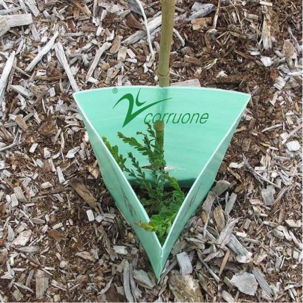 Buy Flat Surface Corrugated Plastic Tree Guard in Customized Colour for Plant Protection at wholesale prices