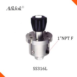 Quality SS316L Single Stage 1&quot; NPT Back Pressure Valve Price for sale