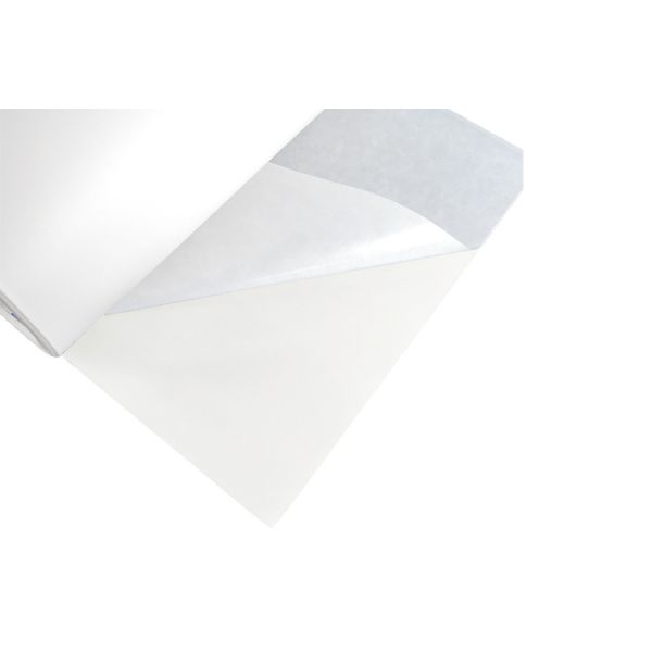 Buy Low Melting Point 55-75℃ Polyurethane Hot Melt Adhesive Film at wholesale prices