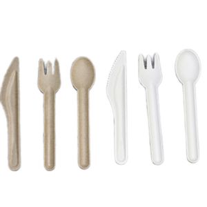 Bulk Eco Disposable Sugarcane Compostable Cutlery Tableware 16CM