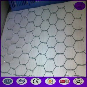 20mm x 20 gauge Galvanized Poultry Netting Fencing / Chicken Houses Runs