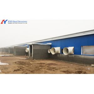 Steel Frame Piggery Shed Construction Long Span Steel Poultry Buildings